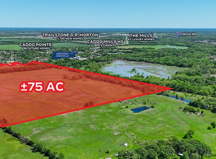 75 AC FM 36 Frontage For Sale