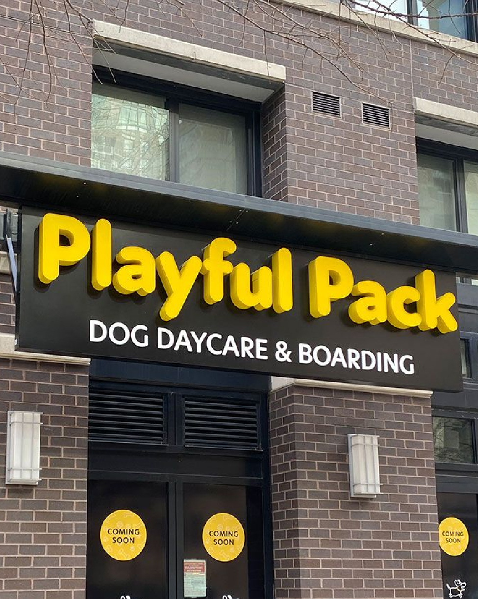 Playful Pack